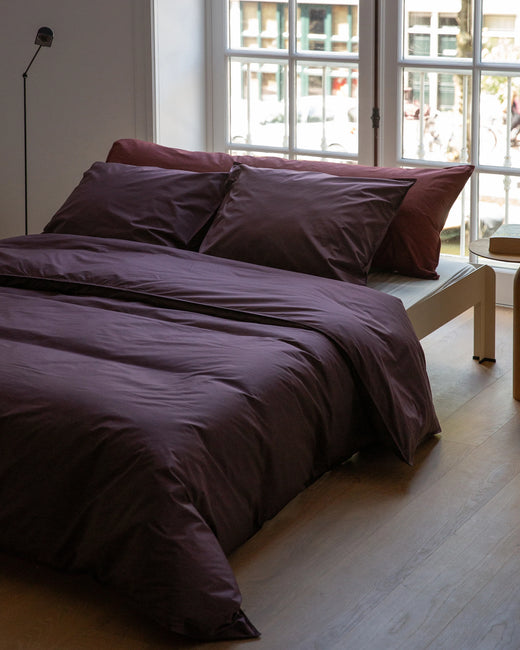 Pillowcase Cotton Plum Noir