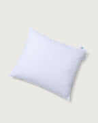 Hoofdkussen Vegan - SUITE702