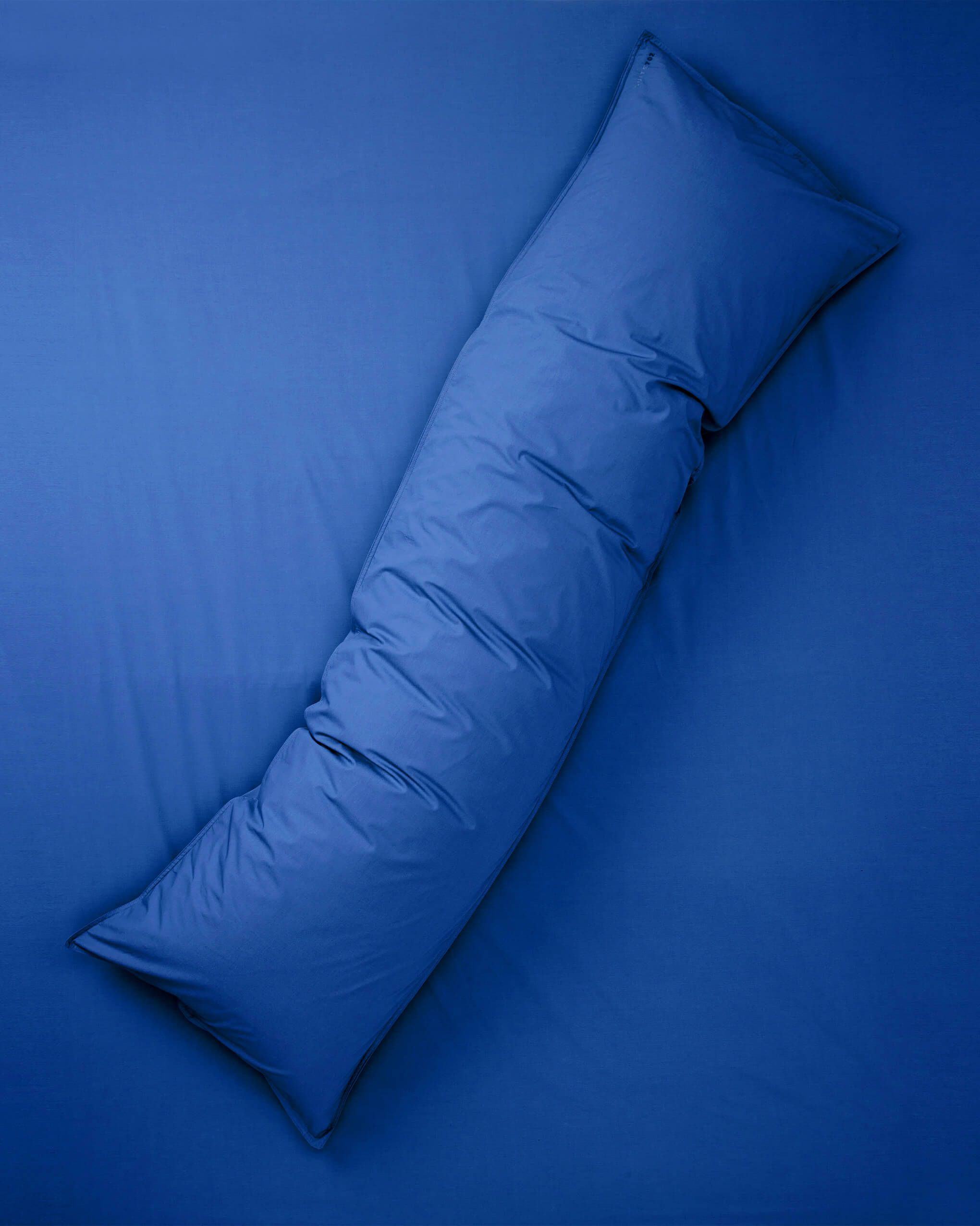 Blue on sale pillow cases